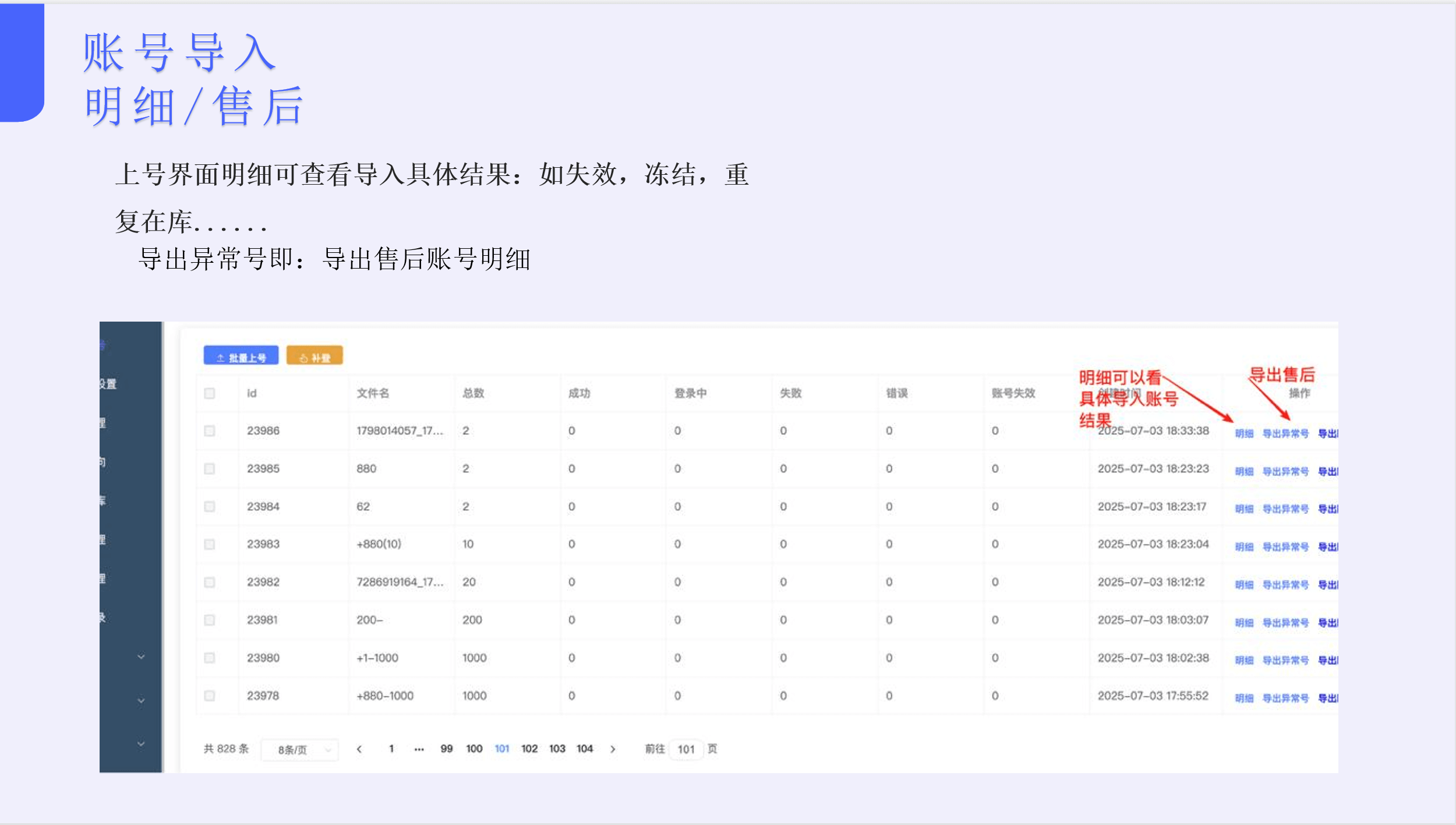 账号导入明细界面